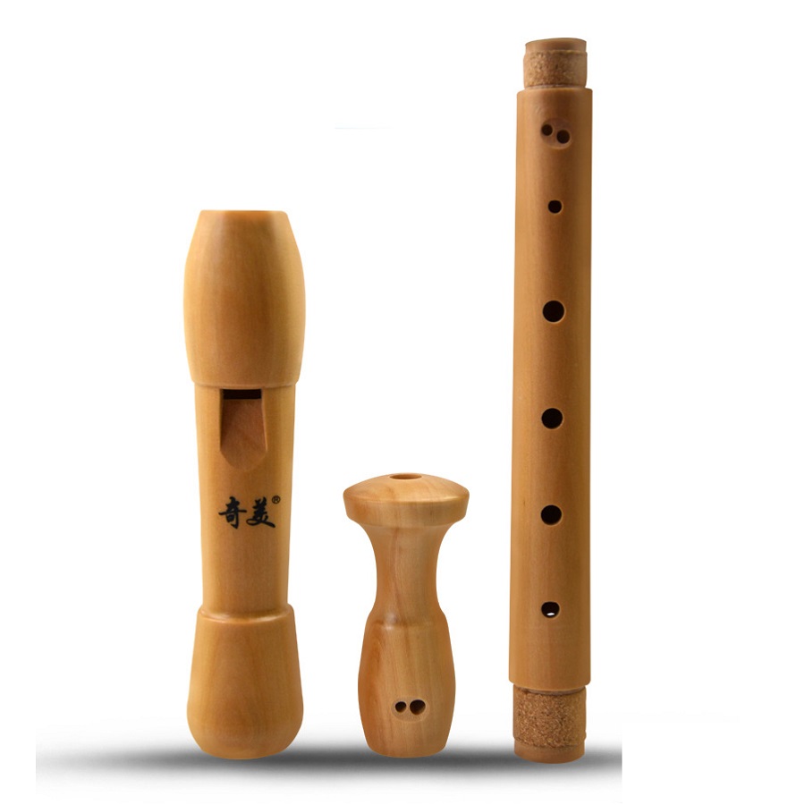 Qimei 8 Holes Alto Recorder Mu - огляд і ціна Musical Instrument Theremin