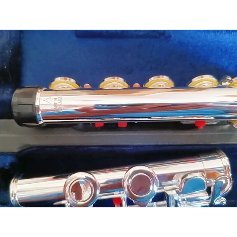 Professional Flute 211SL Model - огляд і ціна Musical Instrument Morocco
