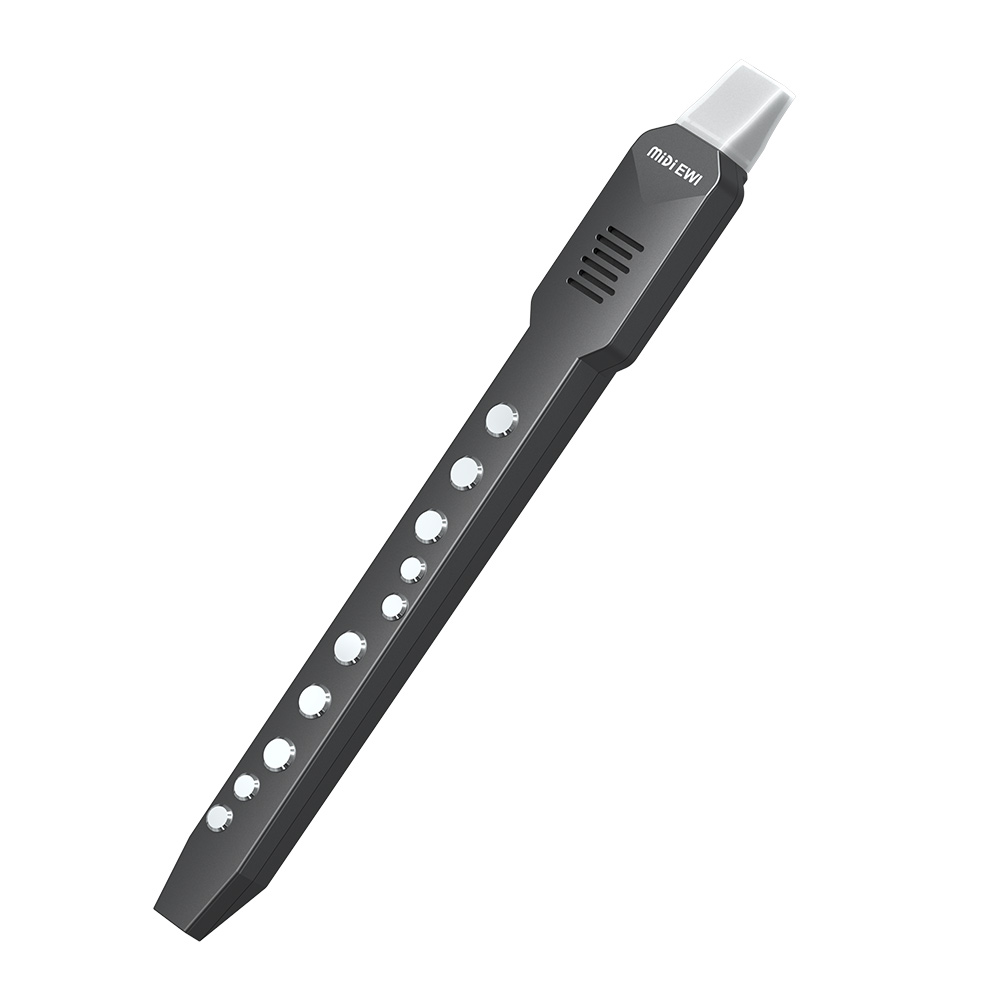 Small Transverse Flute Electro - огляд і ціна Musical Instrument Theremin