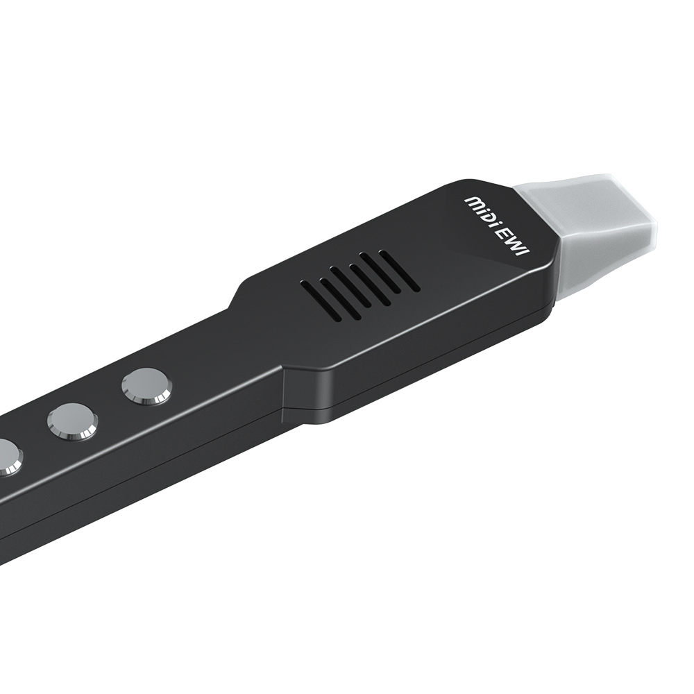 Small Transverse Flute Electro - огляд і ціна Musical Instrument Theremin